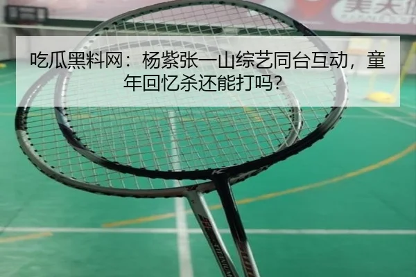 吃瓜黑料网：杨紫张一山综艺同台互动，童年回忆杀还能打吗？